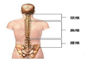 药物流产的严重危害性，你了解多少？